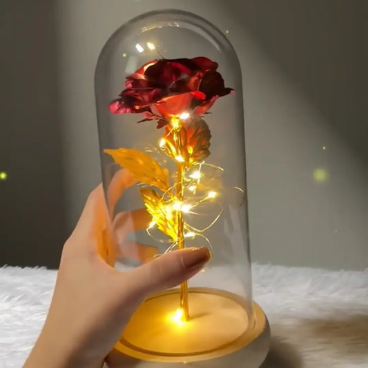 Pack Cadeau Premium : 🎁 Ours en Roses + Lampe Rose sous Cloche 🎀 - Univers Maroc