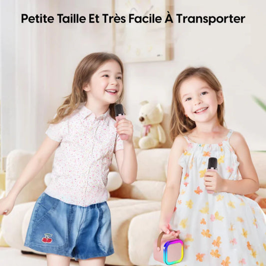 Karaoké Portable Sans Fil avec 2 Micros – Ambiance Partout ! - Univers Maroc