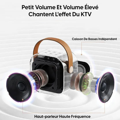 Karaoké Portable Sans Fil avec 2 Micros – Ambiance Partout ! - Univers Maroc