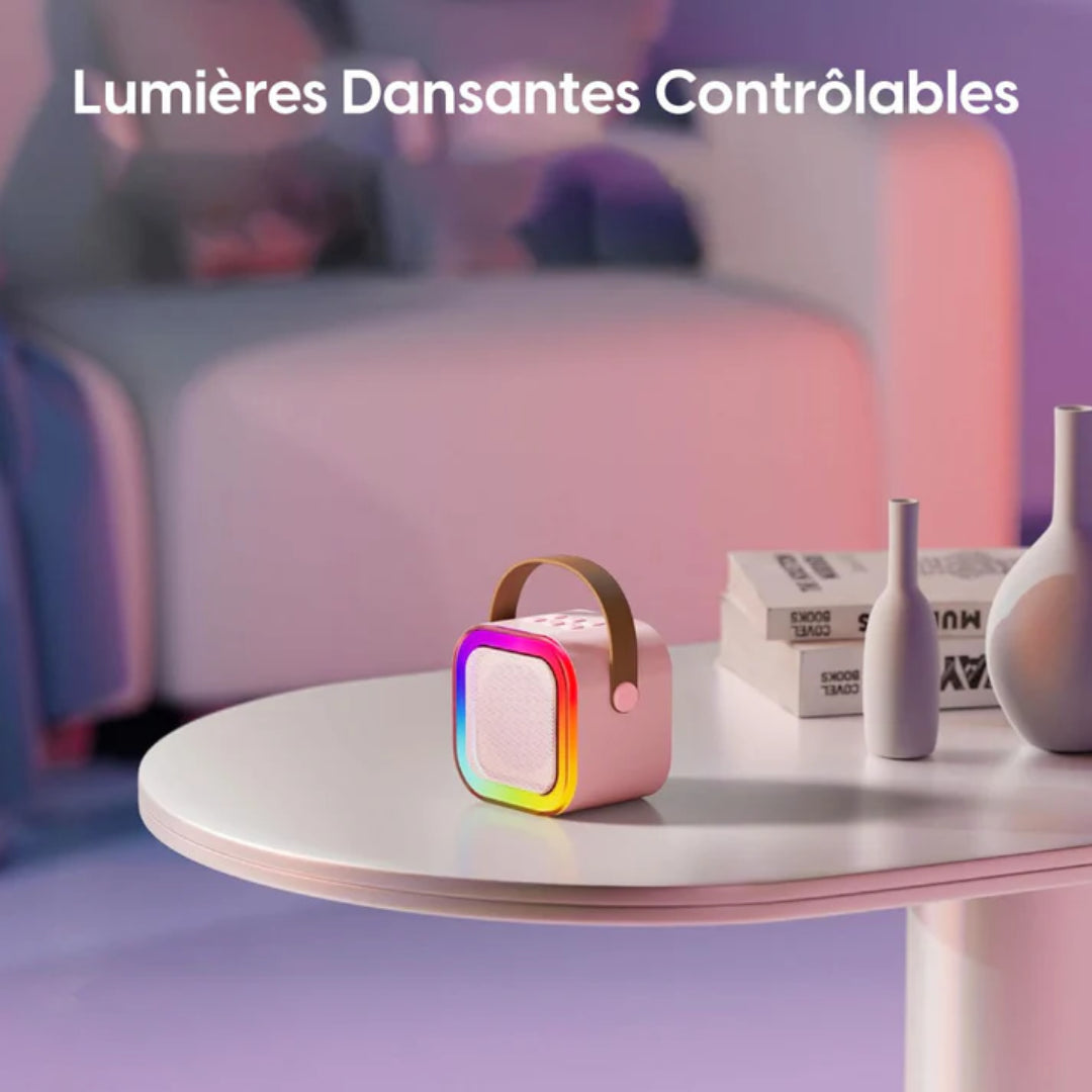 Karaoké Portable Sans Fil avec 2 Micros – Ambiance Partout ! - Univers Maroc