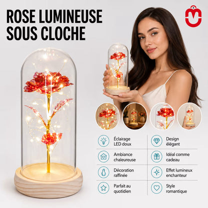 Rose Éternelle sous Cloche LED – Un Cadeau Magique & Intemporel Univers Maroc