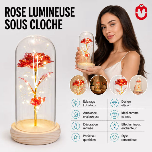 Rose Éternelle sous Cloche LED – Un Cadeau Magique & Intemporel Univers Maroc